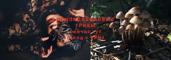 дживик Вяземский